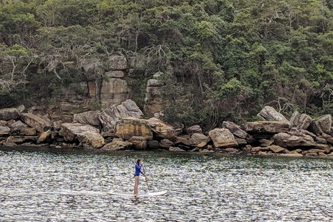 Manly & Sydney's Northern Beaches With 'Personalised Sydney Tours' - Attractions 3