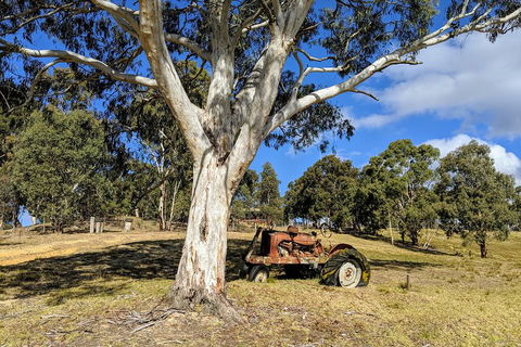 Blue Mountains Private Tour - Wild Kangaroos, Waterfalls And The Three Sisters - Attractions 1