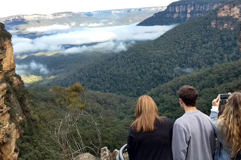 Blue Mountains Private Tour - Wild Kangaroos, Waterfalls And The Three Sisters - Attractions 3