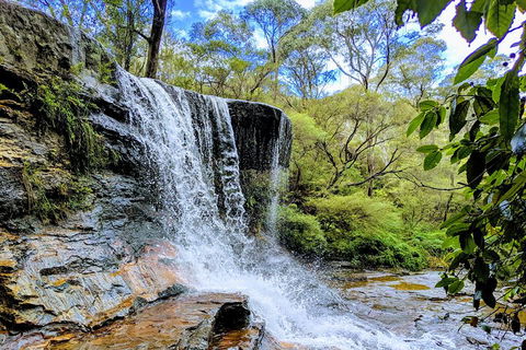 Blue Mountains Private Tour - Wild Kangaroos, Waterfalls And The Three Sisters - Attractions 5