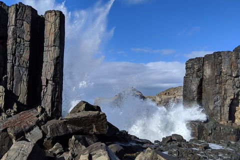 Erupting Blowholes And Ancient Rainforests With 'Personalised Sydney Tours' - Attractions 0