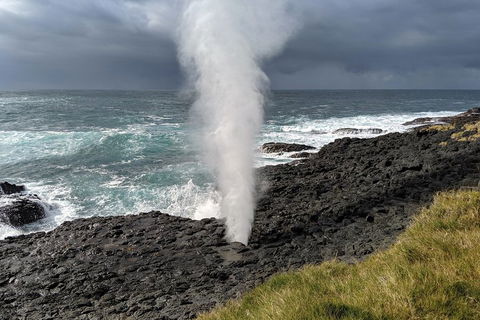 Erupting Blowholes And Ancient Rainforests With 'Personalised Sydney Tours' - Attractions 1