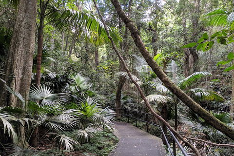 Erupting Blowholes And Ancient Rainforests With 'Personalised Sydney Tours' - Attractions 2