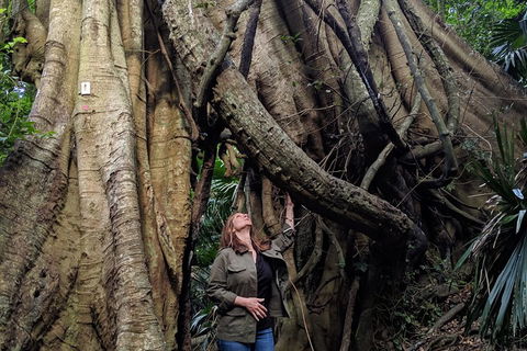 Erupting Blowholes And Ancient Rainforests With 'Personalised Sydney Tours' - Attractions 4