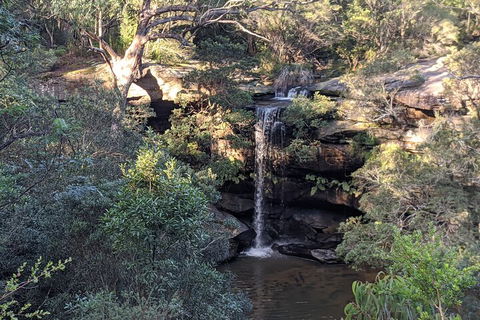 Australian Wildlife & Waterfalls Private Tour With 'Personalised Sydney Tours' - Attractions 5