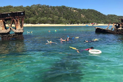 All Inclusive Dolphin And Tangalooma Wrecks Cruise - Attractions 0