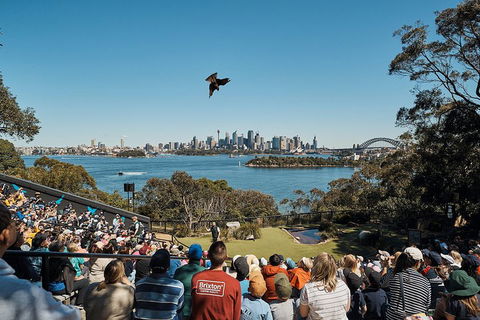 Sydney Taronga Zoo's Australian Animals Tour - Attractions 5