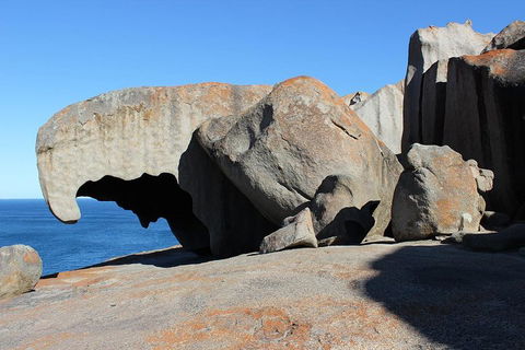 Kangaroo Island Personal Group Tours - Attractions Las Vegas 2