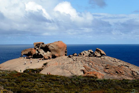 Kangaroo Island Personal Group Tours - Attractions Las Vegas 5