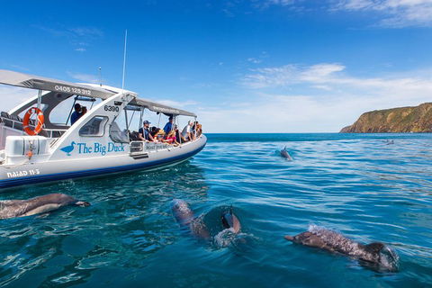 Victor Harbor And McLaren Vale Wine Region Day Tour - Attractions 1