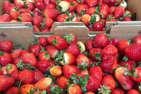 [Private Tour] Mornington Peninsula Family, Maze And Fun! - Attractions 2