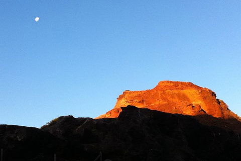 [Private Tour] Mornington Peninsula Family, Maze And Fun! - Attractions 4