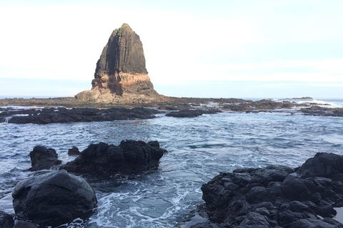 [Private Tour] Mornington Peninsula Family, Maze And Fun! - Attractions 5