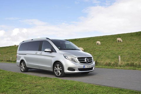 [Private Tour] â€œPenguin Paradeâ€ Phillip Island Tour. - Attractions 3