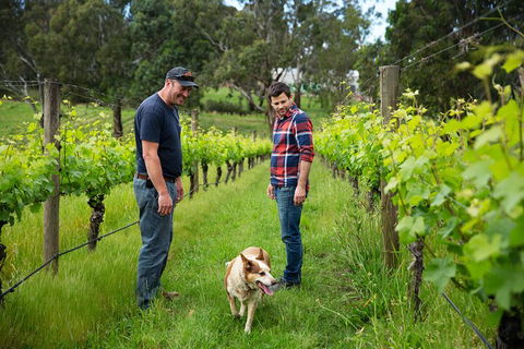 LGBT+ Friendly Full Day Yarra Valley & Dandenong Ranges Private Tour - Attractions 4