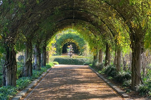 LGBT+ Friendly Full Day Yarra Valley & Dandenong Ranges Private Tour - Attractions 5