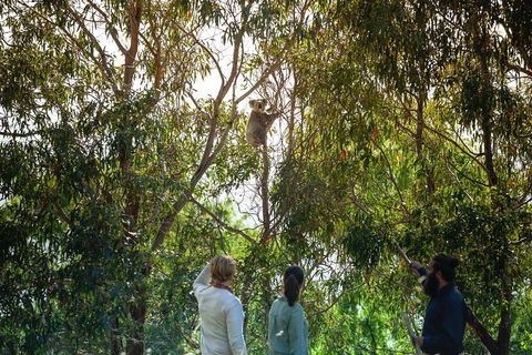 LGBT+ Friendly 3 Day Tour The Grampians, Daylesford & Ballarat - Attractions Las Vegas 4