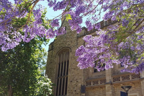 Cultural Caper Adelaide Walking Tour - Attractions 1