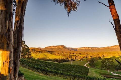Taste Of The Blue Mountains - Lunch & Wine Tasting, Beer, Cider & Gin Tasting - Attractions Las Vegas 1