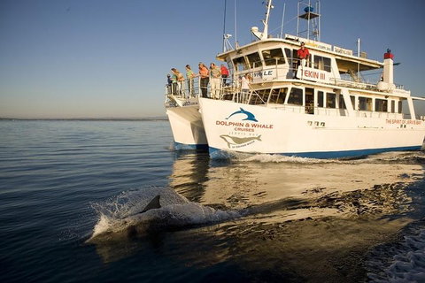 Jervis Bay Dolphin Watch Cruise - Attractions 3
