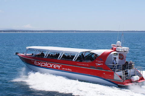 Whale Watching Jervis Bay - Attractions 1