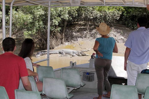 Whitsunday Crocodile Safari Including Lunch - Attractions 4