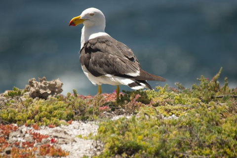 From The Mountains To The Bay - 4 Day Rediscovery Small Group Tour - Attractions 1