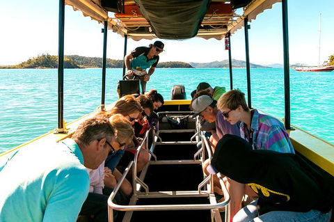 Airlie Beach Glass Bottom Boat Tour - Attractions 1