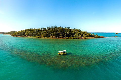 Airlie Beach Glass Bottom Boat Tour - Attractions 3