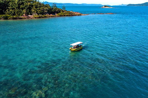 Airlie Beach Glass Bottom Boat Tour - Attractions 4