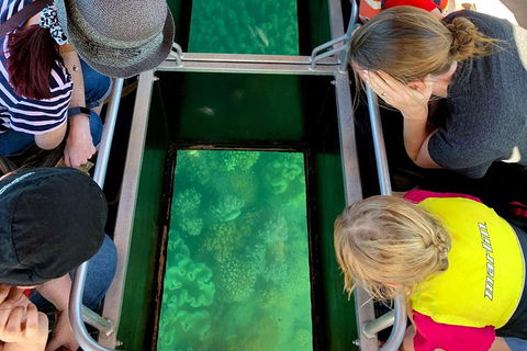 Airlie Beach Glass Bottom Boat Tour - Attractions 5