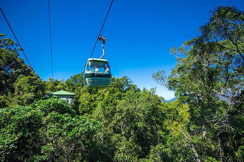 Skyrail Rainforest Cableway Day Trip From Cairns - Attractions 1