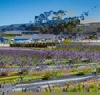 Private Hobart Discover South East Food and Scenic Tour - Attractions