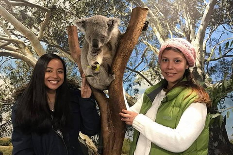 The Ultimate Sydney Attractions Pass - Attractions 1