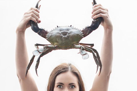 The Ultimate Gold Coast Attractions Pass - Attractions 0