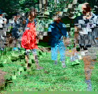 Let's Go Buggin  Let's Go Shroomin - Photography  Nature Walking Tours - Attractions