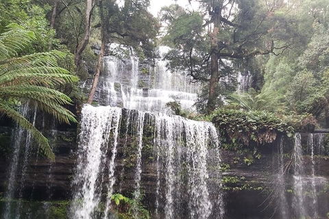 6-Day Hearty Tasmania Tour (Tasmania In A Circle) - Attractions 0