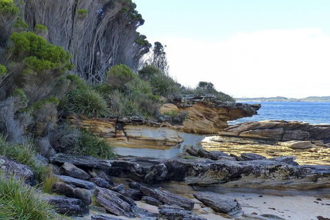 Day Trip To Cronulla & The Royal National Park - Attractions 4