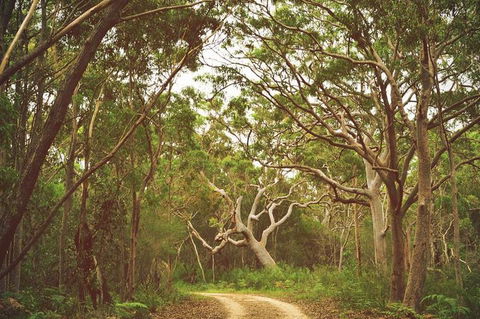 Day Trip To Cronulla & The Royal National Park - Attractions 5