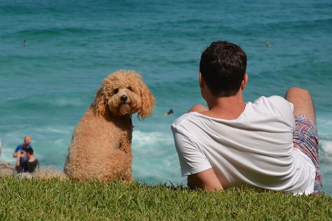 See Sydney With A Local: Private & Personalized - Attractions 5