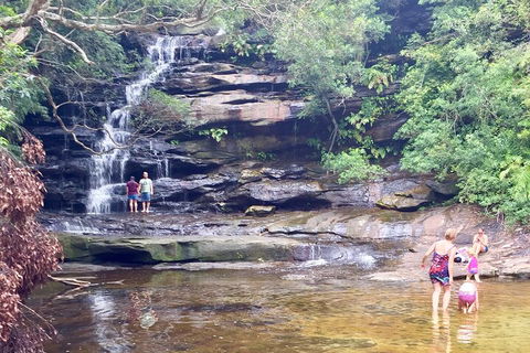 Central Coast Private Tour From Sydney, With Australian Reptile Park Option - Attractions 0