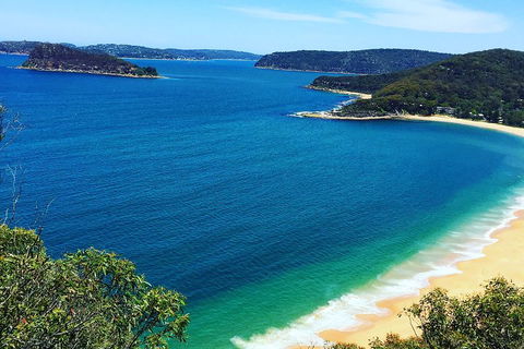 Central Coast Private Tour From Sydney, With Australian Reptile Park Option - Attractions 5