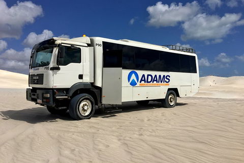 Pinnacles Desert, Koalas And Sandboarding 4WD Day Tour From Perth - Attractions 2