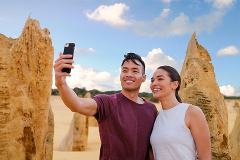 Pinnacles Desert, Koalas And Sandboarding 4WD Day Tour From Perth - Attractions 4