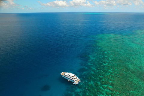 Great Barrier Reef Snorkeling And Diving Cruise From Cairns - Attractions 4
