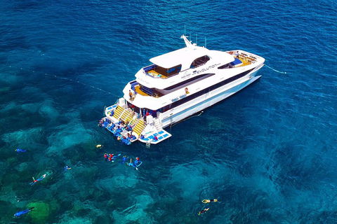 Great Barrier Reef Snorkeling And Diving Cruise From Cairns - Attractions 5