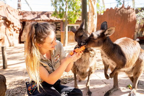 WILD LIFE Sydney Entrance Ticket - Attractions 5