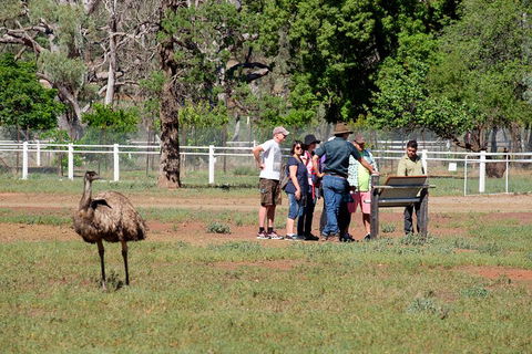 Yura Udnyu - Our Culture, Your Culture (Aboriginal Cultural Walk) - Attractions 1