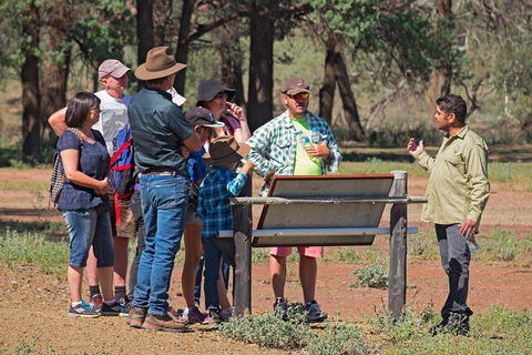 Yura Udnyu - Our Culture, Your Culture (Aboriginal Cultural Walk) - Attractions 2