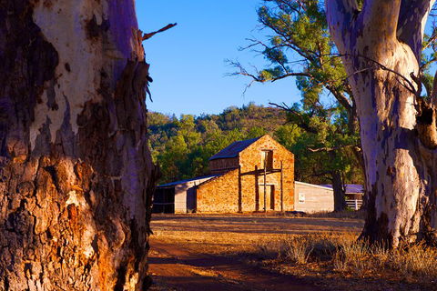Yura Udnyu - Our Culture, Your Culture (Aboriginal Cultural Walk) - Attractions 4